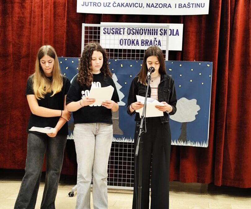 Sudjelovanje na Nazorovim danima